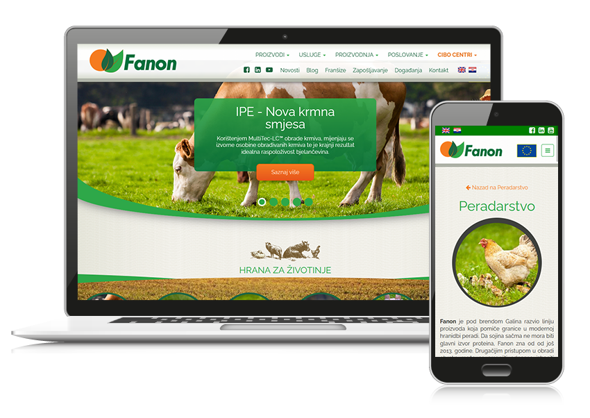 Fanon web dizajn responsive